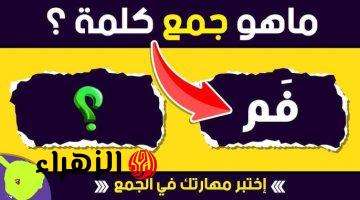 سقطت آلاف الطلاب .. ما هو جمع كلمة «فم» في القاموس العربي التي حيرت 98% من الطلاب؟؟ تبقي عبقري لو عرفت تحلها لوحدك