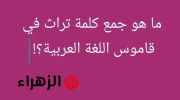 تحدي مثير محدش عرف يحله .. هل تعلم ما هو جمع كلمة “تراث” في قاموس اللغة العربية التي سقطت آلاف الطلاب؟! .. الإجابة غير متوقعة وصادمة