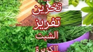 وفري مشوار السوق وتمن التوك توك!!.. تخزين الشبت والبقدونس والكزبرة في الفريزر لاكثر من كام شهر هيفضل فريش زي ما هو فريش.