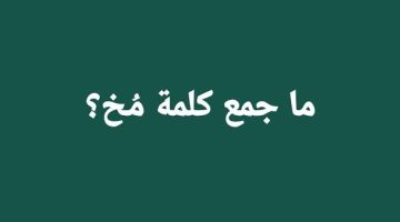 «سؤال جنن كل الناس في العالم » .. هل تعرف ما الجمع الصحيح لكلمه ” مخ ” في اللغة العربية؟! .. الإجابة عمرها ما خطرت على بالك!!