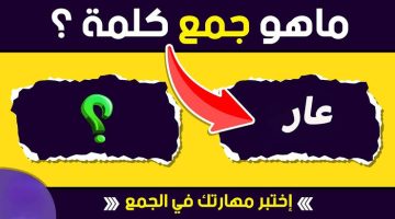 «سؤال جنن كل المصريين » .. هل تعرف ما الجمع الصحيح لكلمه ” عار ” في قاموس اللغة العربية؟! .. الإجابة عمرها ما خطرت على بال حد !!