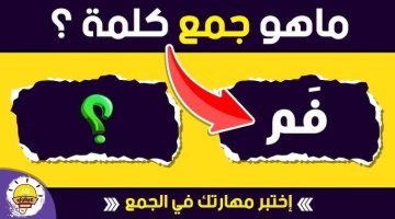 ” لم ينجح أحد بسببها “.. دكتور جامعي يجيب عن سؤال ما هو جمع كلمة ” فم ” في اللغة العربية؟! ..مستحيل تتوقع الاجابة الصحيحة ايه ؟!!