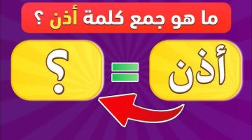 «سؤال جنن كل المصريين فى مصر » .. هل تعرف ما الجمع الصحيح لكلمه ” أذن ” في قاموس اللغة العربية؟! .. الإجابة عمرها ما خطرت على بال حد !!