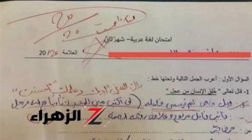 بقى اشهر طالب في مصر خلاص .. طالب يجيب علي سؤال في اللغة العربية بطريقة أبهرت الجميع والمصححين عيطوا بسببها .. مستحيل تتخيل كتب ايه !!