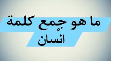 شغل دماغك يا عبقرى .. هل تعرف ما هو جمع كلمة إنسان في قاموس اللغة العربية ؟!.. ناس كتير بتدور على الإجابة الصح ومش عارفين !!