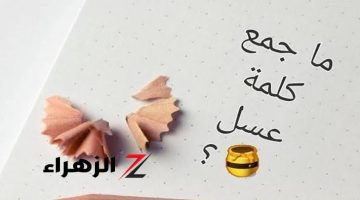 السؤال الذي أبكي الملايين في مصر .. هل تعرف ما هو جمع كلمة ” عسل ” في معجم اللغة العربية ؟!.. الاجابة صعبة ومستحيل تتوقعها!!