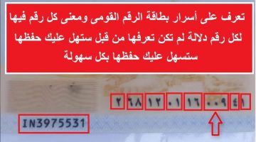 “أخيراً عرفنا السر ايه”.. هل تعلم ماذا يعني مدلول الـ 14 رقم الموجودين ببطاقة الرقم القومي؟! .. مستحيل تتخيل طول السنين دي عايشين ومش عارفين!!