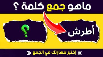 “هتبقى العبقرى الوحيد لو عرفتها” .. ما هو جمع كلمة “ أطرش ” في اللغة العربية التي عجز عن حلها خبراء اللغة ذات نفسهم .. شغل دماغك شوية !!