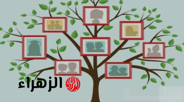 «إكتشف أصول عائلتك»..شوف أجدادك وأعرف أنت أصلك من أى بلد.. إكتشف أصلك!!