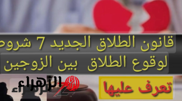 «هتفكر ميه مرة قبل ماتطلق».. قانون الأحوال الشخصية 2024..يضع شروط هامة لوقوع الطلاق.. أعرفها!!