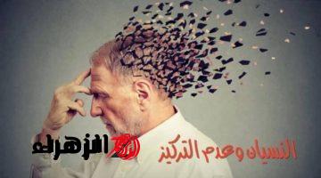 “99% معرفوش يحلوه لحد الآن!!” .. هل تعلم ما هو الشيء الذي كان في بداية خلقة نبات ثم تحول إلى جماد ثم حيوان؟؟ مش هتصدق هو إيه !!!