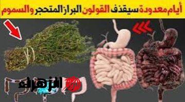 ولا الجن الأزرق يعرفها..!! عشبة جبارة ربانية متواجدة في كل منزل تجعلك تتخلص كافة مشاكل القولون وتخلصك من البراز المتحجر على الفور!!