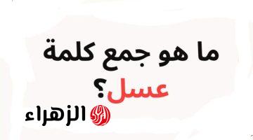 “سؤال لعباقرة اللغة” .. هل تعلم ما هو جمع كلمة “عسل” في قاموس اللغة العربية التي عجز عن حلها ملايين الطلاب والمعلمين؟!! .. اعرف الإجابة الصحيحة قبل أي حد !!!