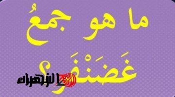 «سؤال سقط ملايين الطلاب».. ما هو جمع كلمة غضنفر في معاجم اللغة العربية التي حيرت ملايين الطلاب؟؟ الكل هيتجنن ويعرف الإجابة الصح إيه؟!