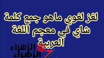 “99% من الطلاب عجزوا عن حلها” .. هل تعرف حل سؤال ماهو جمع كلمة “شاي” في معجم اللغة العربية؟! .. إجابة الكل بيدور عليها !!