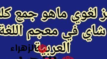 “99% من الطلاب عجزوا عن حلها” .. هل تعرف حل سؤال ماهو جمع كلمة “شاي” في معجم اللغة العربية؟! .. إجابة الكل بيدور عليها !!