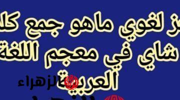 “سؤال حير ملايين الطلاب والمدرسين ” .. هل تعلم ماهو جمع كلمة شاي في قاموس اللغة العربية التي عجز عن حلها خبراء اللغة نفسهم .. تبقى عبقري لو عرفت تحلها لوحدك !!!