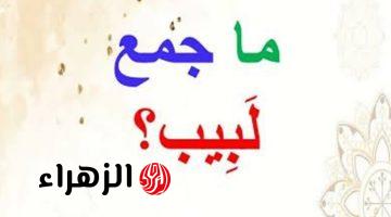 “سؤال جنن ملايين الطلاب” … ما هو جمع كلمة “لبيب” في قاموس اللغة العربية التي سقط بسببها دفعة كاملة .. 99% معرفوش يحلوها !!!