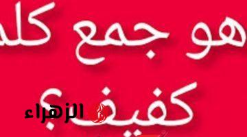 “سؤال حير ملايين الطلاب” .. لن تصدق ماهو جمع كلمة “كفيف” في معجم اللغة العربية التي عجز عن حلها خبراء اللغة ذات نفسهم .. أراهنك انك تعرف تحلها لوحدك !!