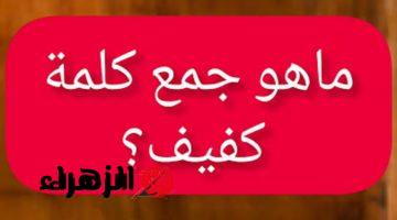 “ملايين الطلاب سقطوا بسببها” .. هل تعلم ما هو جمع كلمة “كفيف” في اللغة العربية التي حيرت الطلاب والمعلمين .. خبير لغوي يوضح  الإجابة الصحيحة!!!