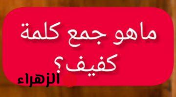 “سؤال حير ملايين الطلاب” .. هل تعرف ماهو جمع كلمة “كفيف” في اللغة العربية التي عجز عن حلها جميع الطلاب والمعلمين .. خبراء اللغة نفسهم ماعرفوش يحلوها !!!