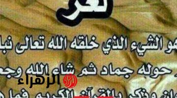 “العالم احتار فيه!!” .. هل تعلم ما هو الشيء الذي كان في بداية خلقة نبات ثم تحول إلى جماد ثم حيوان؟! .. مش هتصدق هو إيه !!!