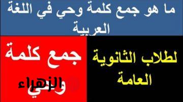 “سؤال جنن ملايين الطلاب” .. ماهو جمع كلمة “وحي” التي أبكت الطلاب وحيرت المعلمين .. اعرف الإجابة الصح قبل أي حد !!!