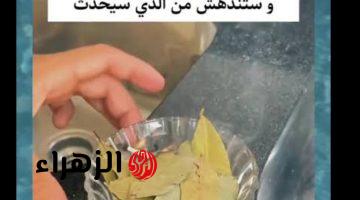 “معقولة كل ده يطلع منه” … احرقي ورق الغار في المنزل كل ليلة لمدة أسبوع كامل وشوفي المعجزة التي ستحدث !! .. هتندمي إنك مكنتيش بتعملي كده من زمان!!!