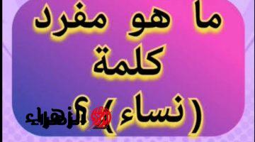 “أبكت ملايين الطلاب حتى النحيب”.. ما هو مفرد كلمة “نساء” في قاموس اللغة العربية؟!! .. إجابة مستحيل تخطر على بالك!!