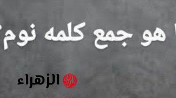 “سؤال لعباقرة اللغة فقط” .. ما هو جمع كلمة “النوم” في قاموس اللغة العربية الذي أبكي ملايين الطلاب؟! .. تبقى عبقري لو عرفت تحلها لوحدك !!