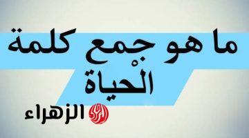 “دفعة كاملة سقطت بسببها” .. هل تعلم ما هو جمع كلمة «الحياة» في اللغة العربية التي عجز عن حلها دكاترة الجامعة؟! .. اعرف الإجابة الصحيحة قبل أي حد !!!