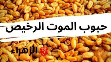 “هتموتي عيالك بإيدك” .. استشاري يحذر من تناول هذا الطعام الذي نأكله يوميا دون أن نشعر || فيه سم قاتل ؟! .. احذري قبل فوات الآوان  !!!