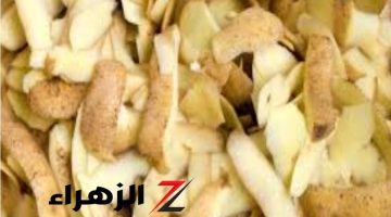 جارتي اللهلوبة قالتلي عليها.. ضاع عمرنا بنرمي قشر البطاطس في الزباله من النهاردة مستحيل ترميه!!