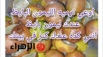 “كنز على بابا”…عندك ليمون بايظ اوعي ترميه انتي عندك كنز في بيتك | تعالي أقولك علة سر محدش يعرفه