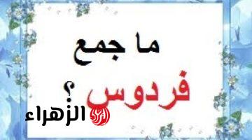 “ مش هيحلها غير العباقرة فقط” .. ما هو جمع كلمة فردوس التي حيرت آلاف الطلاب وجننت المعلمين .. أتحداك تعرف تحلها لوحدك