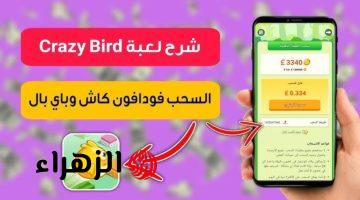 « هتعمل ارباح يومية جبارة وانت في البيت».. لعبة “Crazy Bird” للربح من الإنترنت تقدم لك فرص ممتازة للأرباح اليومية بسهولة ومتعة!!