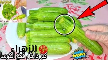 بطلي إهمال بقي وخليك موفره!.. كنز رخيص وجبار داخل اقماع الكوسة مش هترميها تانى تعالى اقولك على افكار هتغيرلك حياتك