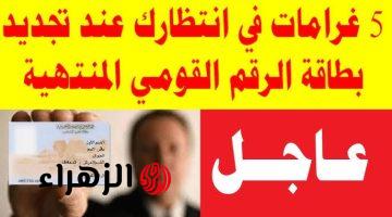 سكة اللي يروح مايرجعش ..تحذير هام من الداخلية لأصحاب بطاقة الرقم القومى هذة بضرورة التوجه إلى أقرب سجل مدني فورا قبل تعرضهم لغرامات مالية .. مفيش تهاون