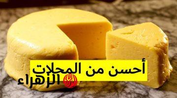 عشان سندوتشات العيال جهزيها … طريقة عمل الجبنة الرومي في البيت!!.. بطعمها الأصلي والمعروف زي الجاهزة بالظبط!