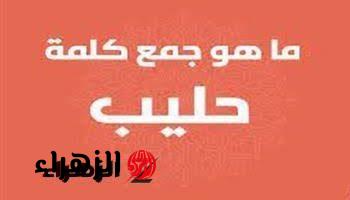 “اجابة لا كانت علي البال ولا علي الخاطر!”.. ماهو جمع كلمة” حليب” في اللغة العربية السؤال اللي جنن عقول طلاب الثانوية العامة.. دكتور جامعي يكشف الإجابة الصحيحة!!..