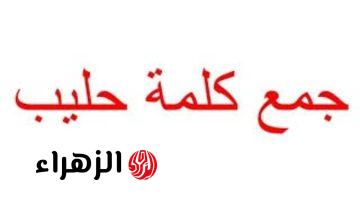 «اسؤال اللي حير ملايين الطلاب الثانوية العامة».. جمع كلمة حليب في اللغة العربية دكتور جامعي يوضح الحقيقة اللي ماحدش كان يتخيلها!!