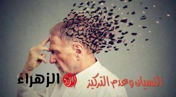 “اسرار الذاكرة الحديدية”.. تعرف علي أفضل أساليب لعلاج مشكلة النسيان… هتفتكر كل شعره في حياتك!!