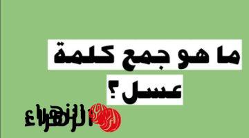 «سؤال مايجاوبش عليه الا واحد جينيس!» .. ما هو جمع كلمة “عسل” في اللغة العربية التي حيرت الطلاب المعلمين؟؟ .. الإجابة عمرها ماخطرت على بالك !!!