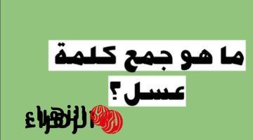 «سؤال عايز اينشتين يحله!» .. ما هو جمع كلمة “عسل” في اللغة العربية التي حيرت الطلاب المعلمين؟؟ .. الإجابة عمرها ماخطرت على بالك !!!