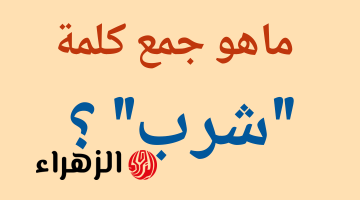 الطلاب انهاروا بسببه!”.. ما هو جمع كلمه “شرب” في اللغة العربية .. السؤال الشهير الذي حير جميع طلاب !!