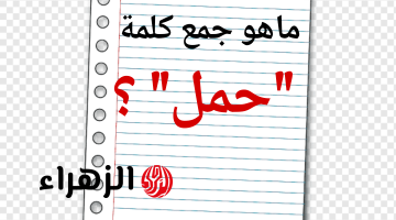 “طلاب كتير عيطوا بسببه”.. ما هو جمع كلمه “حمل” في اللغة العربية .. السؤال الشهير الذي حير جميع طلاب الثانوية العامة !!