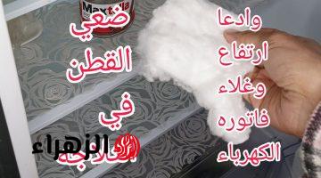 “متخطرش على بال الجن الأزرق”..ضعي القطن في تلاجه وداعاً استهلاك وغلاء فاتورة الكهرباء | بفكره منزليه لن تتوقعيها