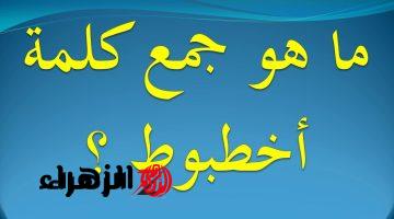 “سؤال حير ملايين الطلاب والمدرسين” .. ما هو جمع كلمة “أخطبوط” في معجم اللغة العربية؟!! .. الإجابة ماتخطرش علي بال أحد !!!