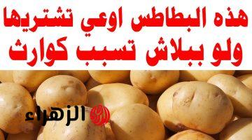 “لو شفتها في السوق اوعى تشتريها” تعرفي على علامات تدل على تلفها قبل شرائها! احذري من شراء البطاطس الفاسدة!