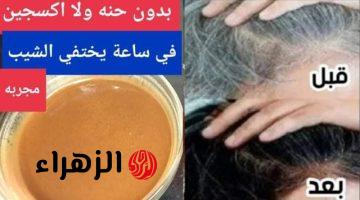 «شعرك فيه شيب متخافيش».. وصفة طبيعية هتخليكي أصغر بـ 10 سنين بدون حنة ولا أكسجين.. جربي بنفسك!!